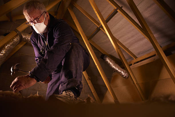 Best DIY Insulation Kits and Guidance in Canal Fulton, OH